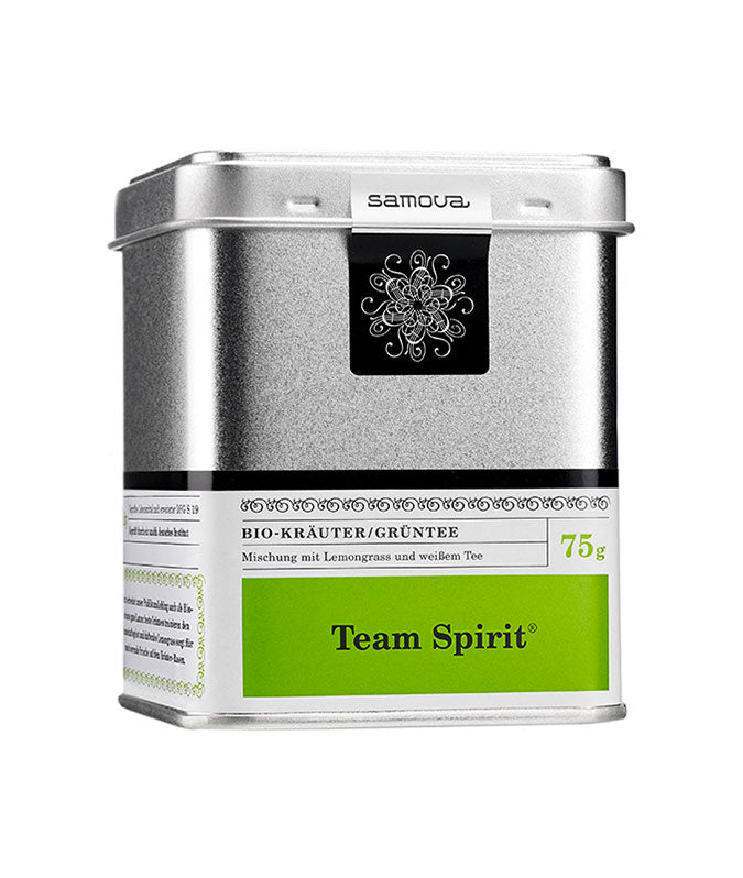 Team Spirit Bio Kräutertee