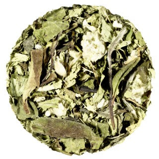 greenchill_lose
